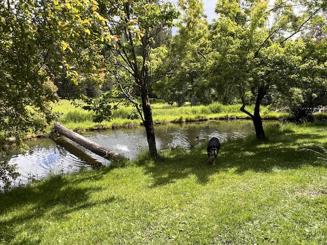 3901 Cedar Creek Rd, Colville, WA 99114 - water view