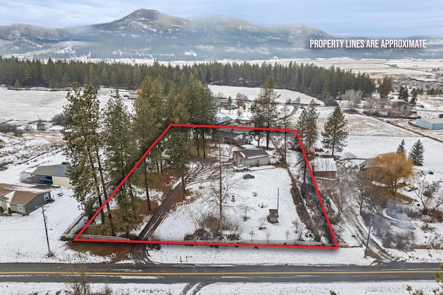 snowy aerial view featuring a mountain view