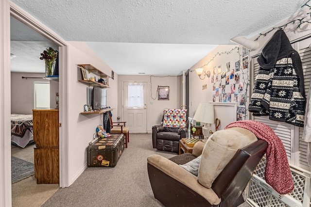 living room with carpet flooring and a textured ceiling