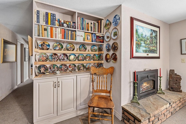 sitting room with carpet and a textured ceiling