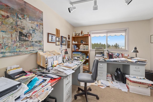 carpeted home office with rail lighting