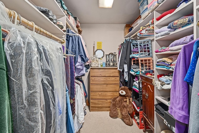 walk in closet with carpet flooring