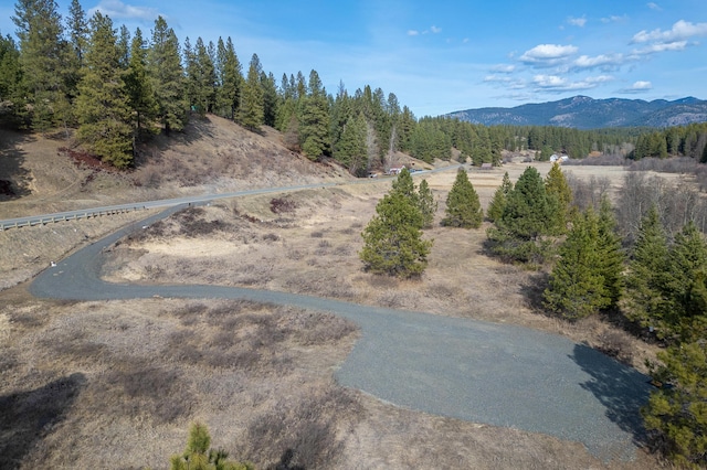 TBD Addy-Gifford Rd, Addy, WA 99101 - photo 8