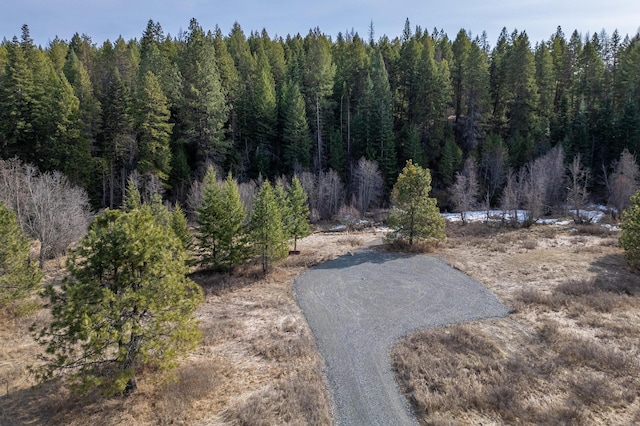 TBD Addy-Gifford Rd, Addy, WA 99101 - photo 7