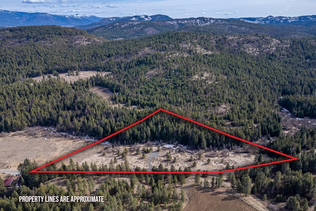 TBD Addy-Gifford Rd, Addy, WA 99101 - photo 3