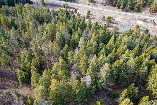 TBD Addy-Gifford Rd, Addy, WA 99101 - photo 14