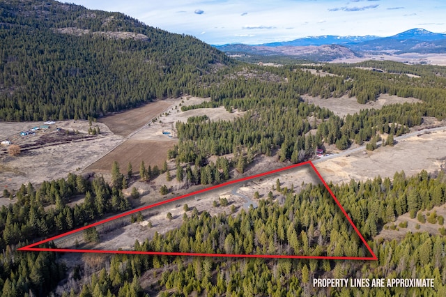 TBD Addy-Gifford Rd, Addy, WA 99101 - photo 2