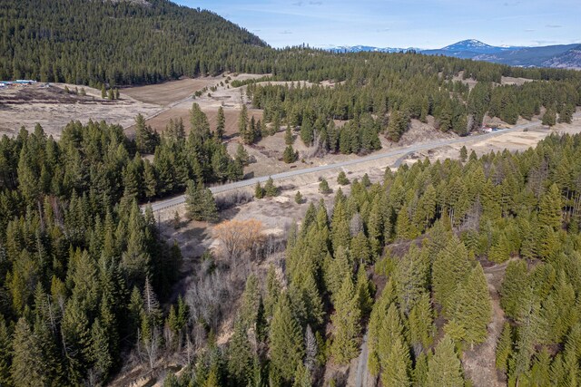 TBD Addy-Gifford Rd, Addy, WA 99101 - photo 15