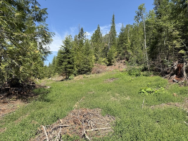 3516 Deep Lake Boundary Rd, Colville, WA 99114 - photo 25
