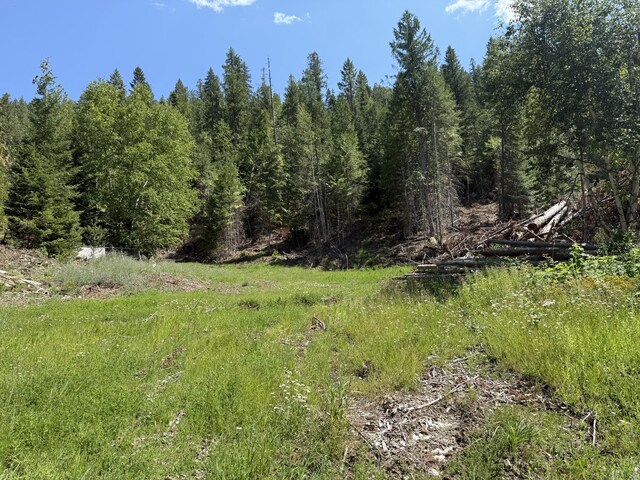 3516 Deep Lake Boundary Rd, Colville, WA 99114 - photo 4