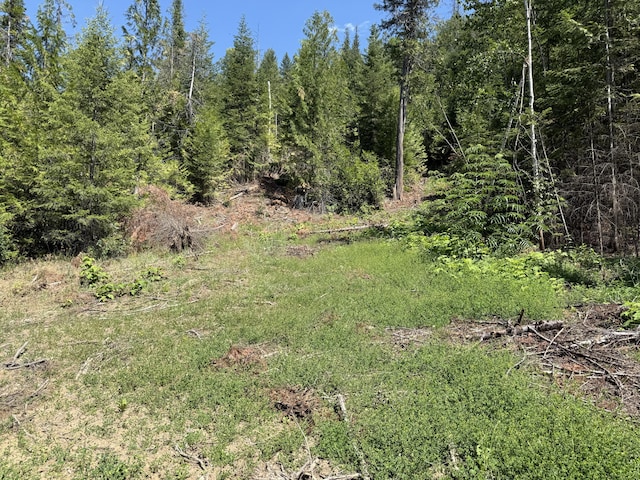 3516 Deep Lake Boundary Rd, Colville, WA 99114 - photo 24