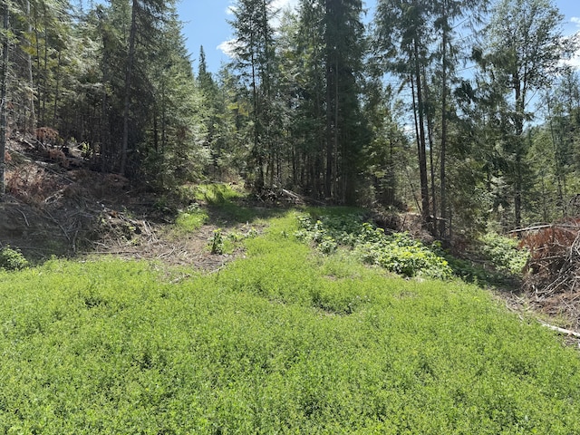 3516 Deep Lake Boundary Rd, Colville, WA 99114 - photo 26