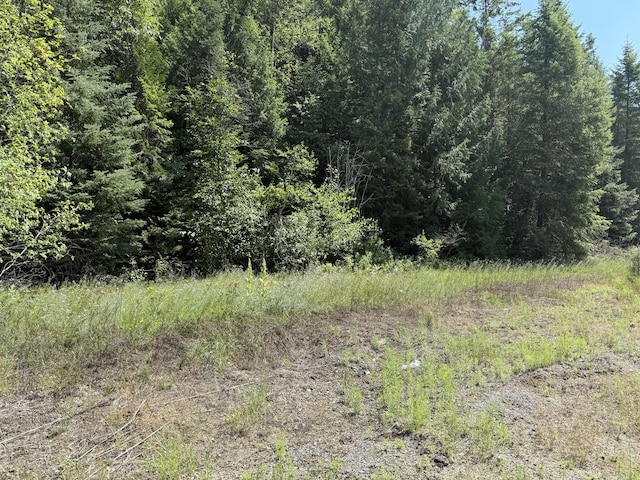 3516 Deep Lake Boundary Rd, Colville, WA 99114 - photo 22