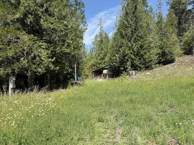 3516 Deep Lake Boundary Rd, Colville, WA 99114 - photo 3