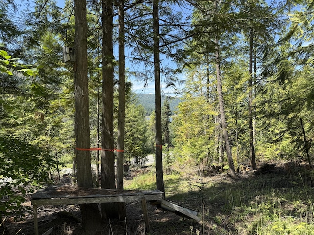 3516 Deep Lake Boundary Rd, Colville, WA 99114 - photo 12