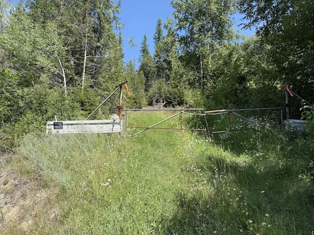 3516 Deep Lake Boundary Rd, Colville, WA 99114 - photo 2