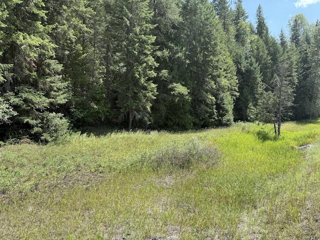 3516 Deep Lake Boundary Rd, Colville, WA 99114 - photo 19