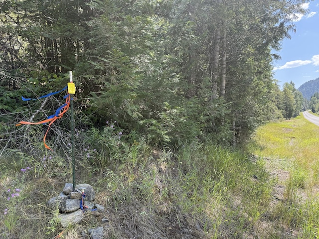 3516 Deep Lake Boundary Rd, Colville, WA 99114 - photo 23