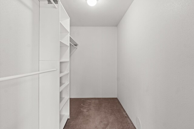 2829 Cottonwood Creek Rd, Chewelah, WA 99109 - walk in closet with carpet