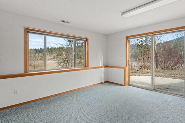 2829 Cottonwood Creek Rd, Chewelah, WA 99109 - carpeted spare room featuring plenty of natural light and baseboards
