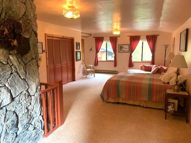 59 Bisbee Creek Ln, Kettle Falls, WA 99141 - bedroom featuring carpet flooring