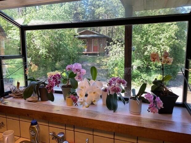 59 Bisbee Creek Ln, Kettle Falls, WA 99141 - detailed view