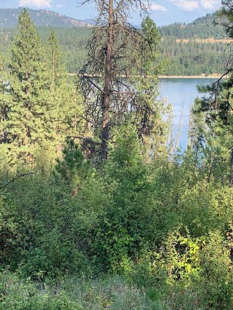 59 Bisbee Creek Ln, Kettle Falls, WA 99141 - water view featuring a forest