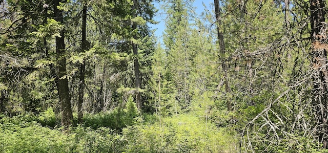 45XX Stonebrook Way, Springdale, WA 99173