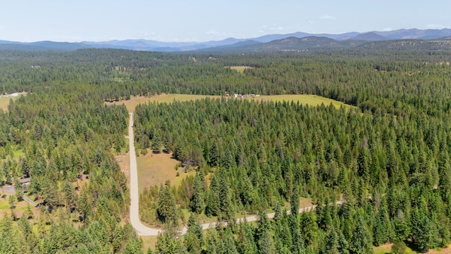 45XX Stonebrook Way, Springdale, WA 99173