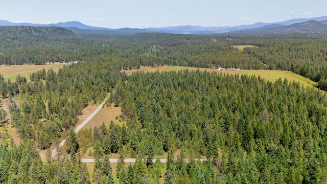 45XX Stonebrook Way, Springdale, WA 99173