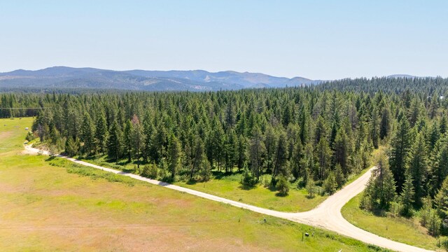 45XX Stonebrook Way, Springdale, WA 99173
