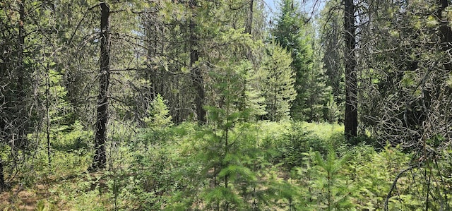 45XX Stonebrook Way, Springdale, WA 99173