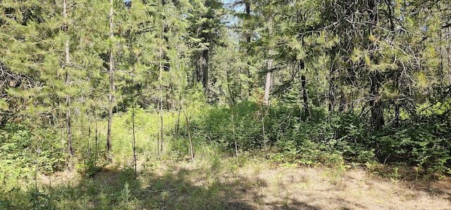45XX Stonebrook Way, Springdale, WA 99173