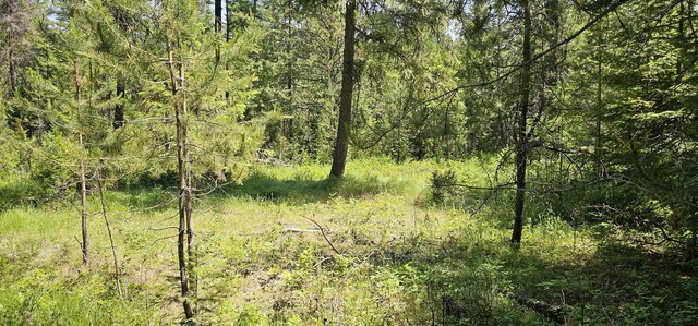 45XX Stonebrook Way, Springdale, WA 99173