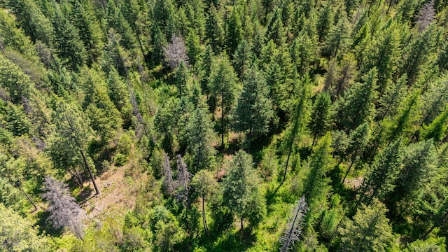 45XX Stonebrook Way, Springdale, WA 99173