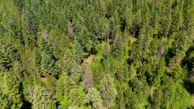 45XX Stonebrook Way, Springdale, WA 99173