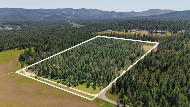 45XX Stonebrook Way, Springdale, WA 99173