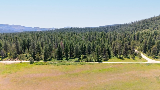 45XX Stonebrook Way, Springdale, WA 99173