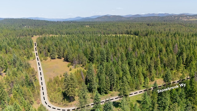 45XX Stonebrook Way, Springdale, WA 99173