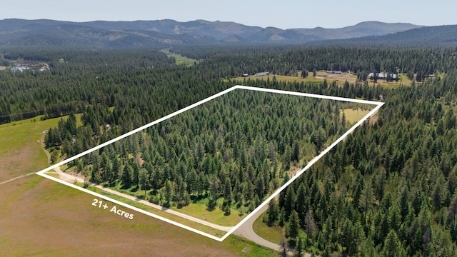 45XX Stonebrook Way, Springdale, WA 99173