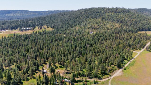 45XX Stonebrook Way, Springdale, WA 99173