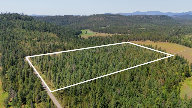 45XX Stonebrook Way, Springdale, WA 99173