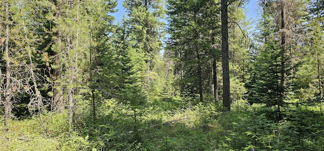 45XX Stonebrook Way, Springdale, WA 99173