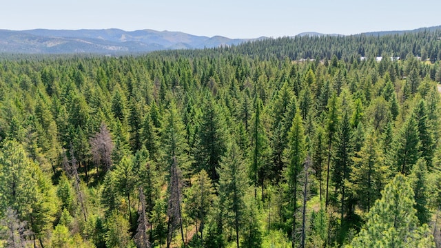 45XX Stonebrook Way, Springdale, WA 99173