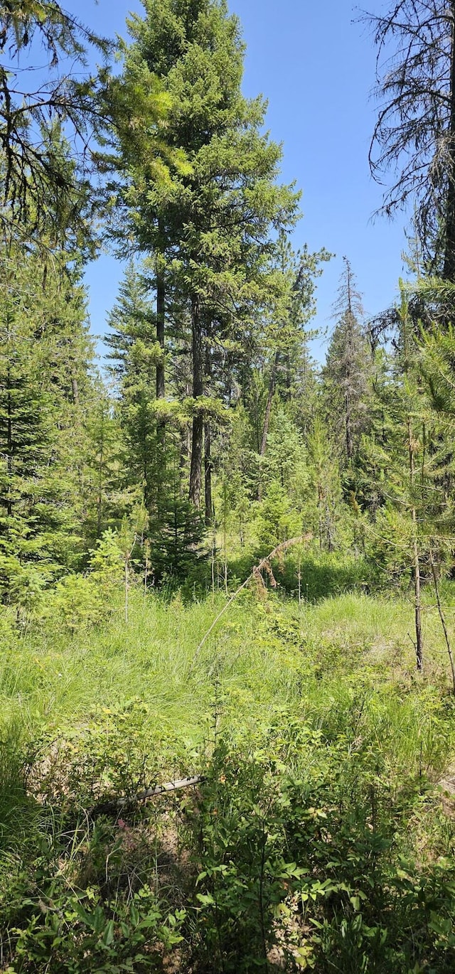 45XX Stonebrook Way, Springdale, WA 99173