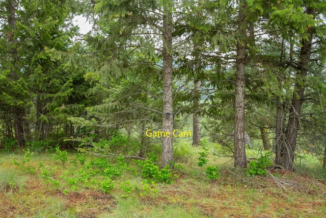 2420 Cedonia Addy Rd Unit A, Addy, WA 99101
