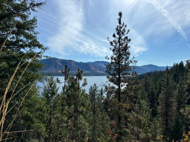 TBD Fdr Lake Rd, Inchelium, WA 99138