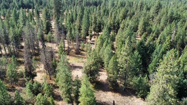 TBD Fdr Lake Rd, Inchelium, WA 99138