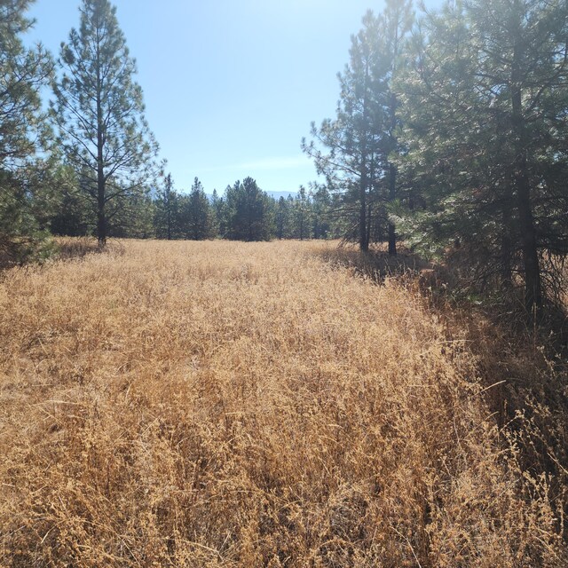 TBD Fdr Lake Rd, Inchelium, WA 99138