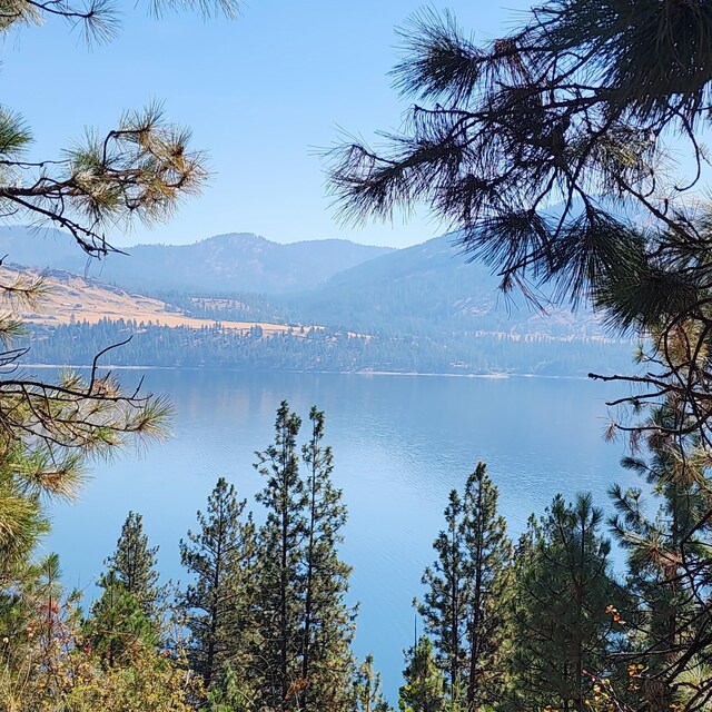 TBD Fdr Lake Rd, Inchelium, WA 99138